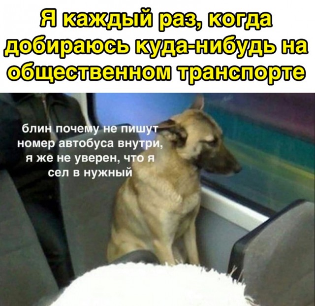 Весёлый полтишок 30.03