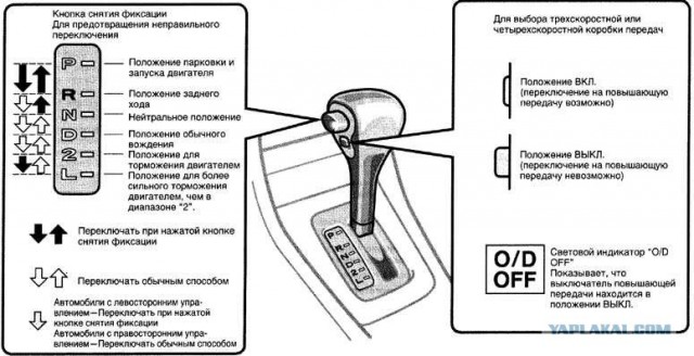 Сколько же он собрал?
