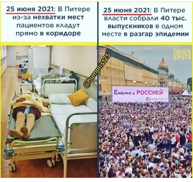 Баранный вируссологический пикчерзз
