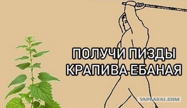 Интересные у них там конкурсы