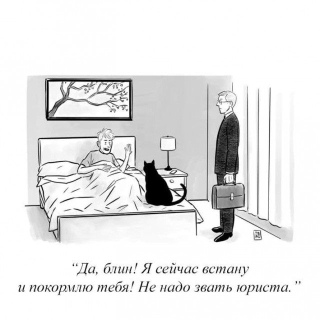 Так себе картинки 11.07.21