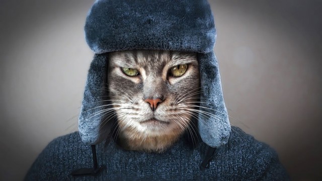 Утепляйтесь!