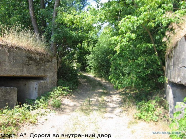 Форты Бреста