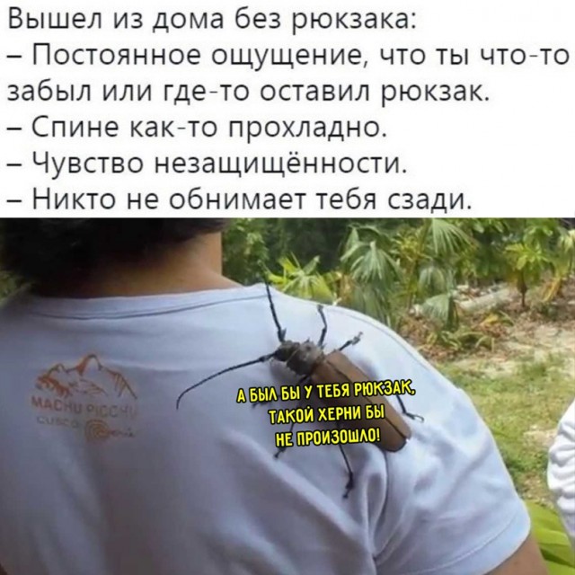 Весёлый полтишок 20.04.22
