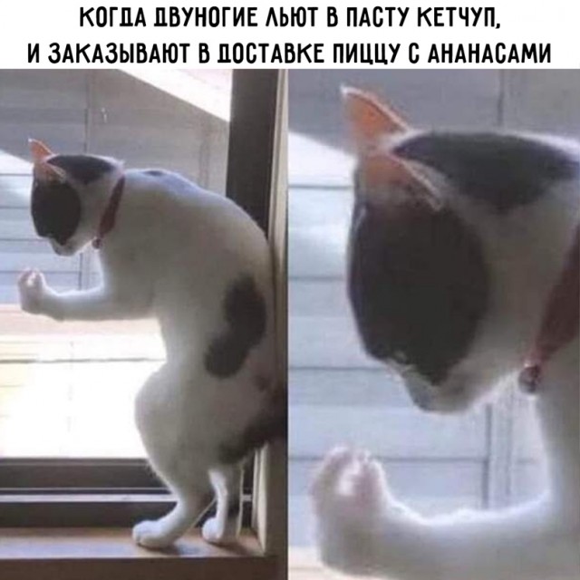Картинки и мемы для настроения - 14