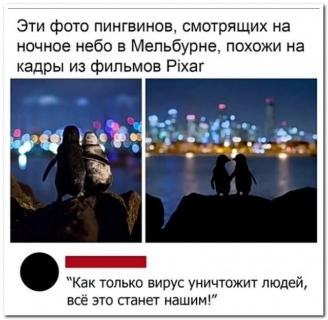 Скриншоты и комментарии из социальных сетей 20.08.22