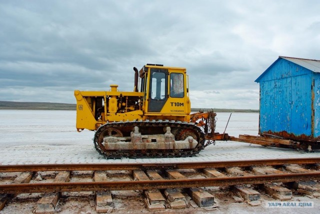 Вот в чем вся соль!