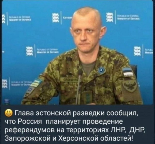 17276863.jpg