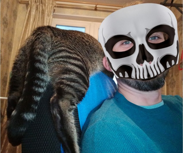 А как вы спите с котиком?