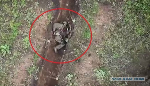 Выжил-таки, говорят...