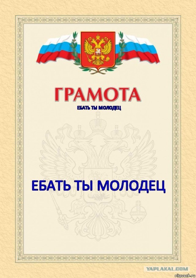 Тренажёр для тыгыдымского кота
