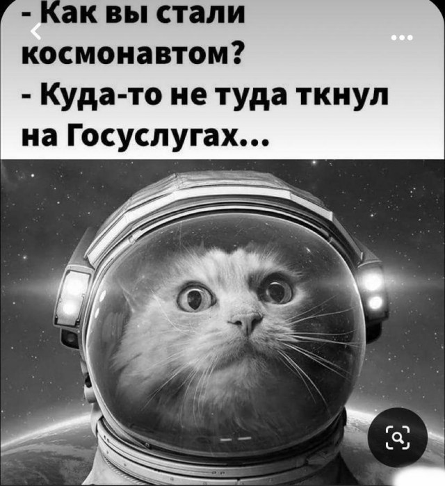 Весёлый полтишок 21.11.22