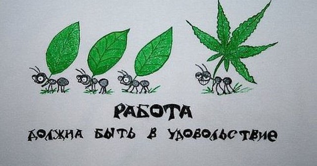 Прикольные и просто красивые картинки 22.11.2022
