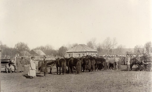 Сибирские казаки на службе и дома. Альбом 1911 года