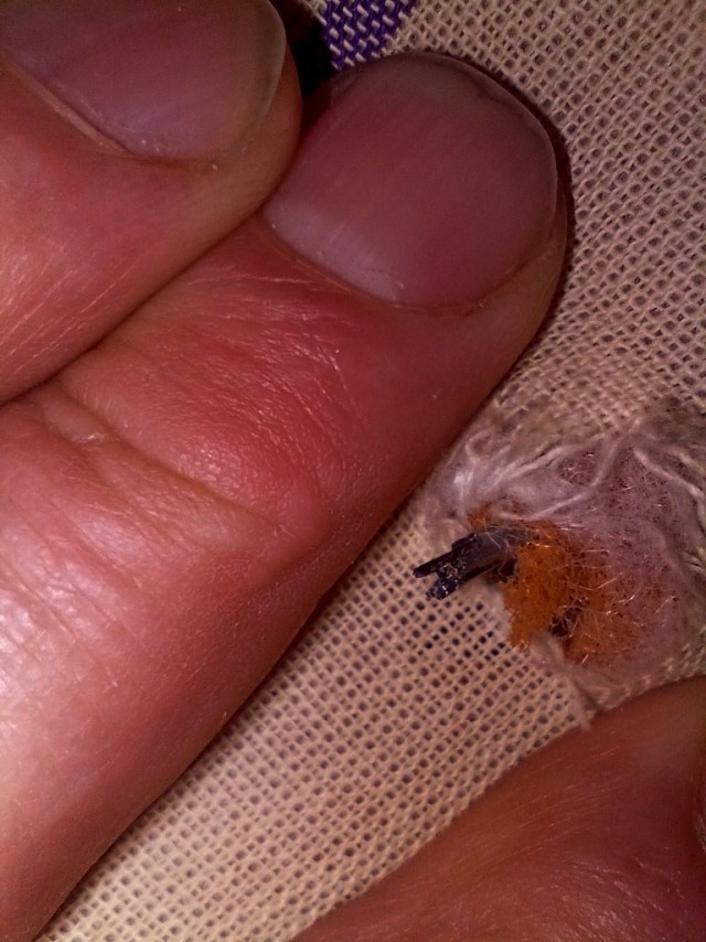 Мой друг хотел меня зарезать.