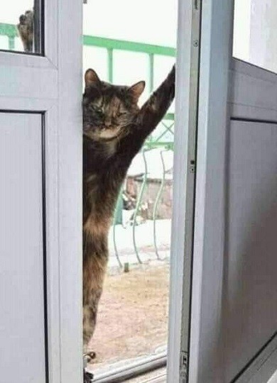 Наташа, я дома!