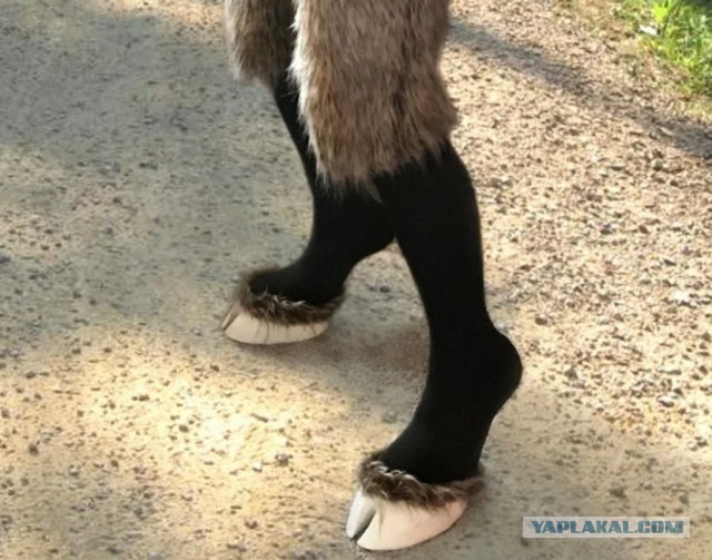 Брачный договор