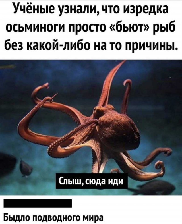 69 разных картинок для настроения (2)