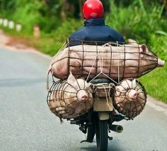 Делаем ставки, Господа!