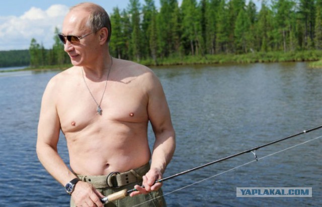 Почти идеальная грудь