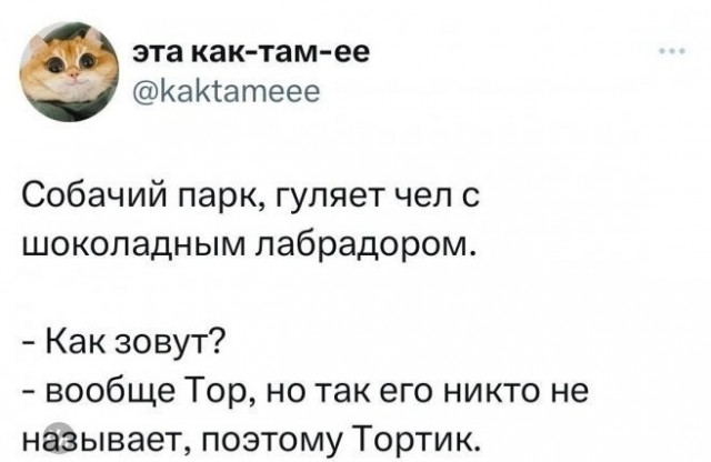Так себе картинки 03.10.23