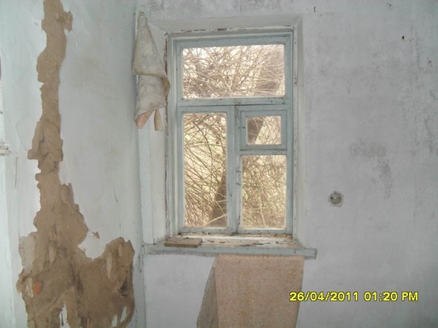 Чернобыль 2011