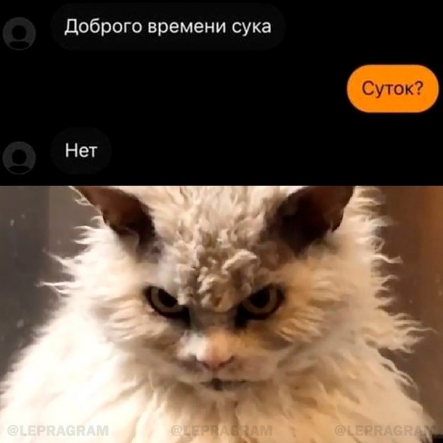 Весёлый полтишок 09.11.23