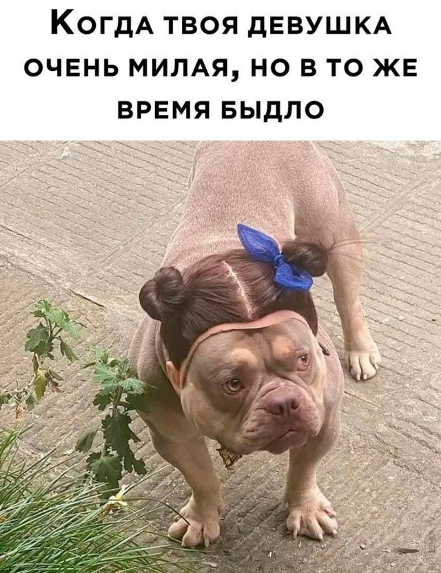 Всего понемногу. От 10.11.23
