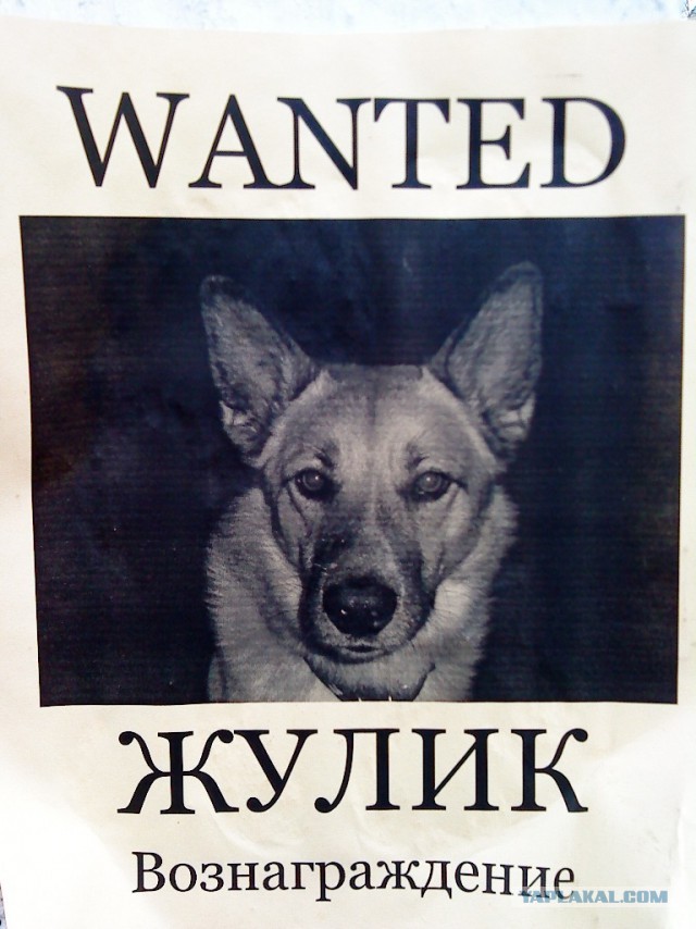 Почистил телефон