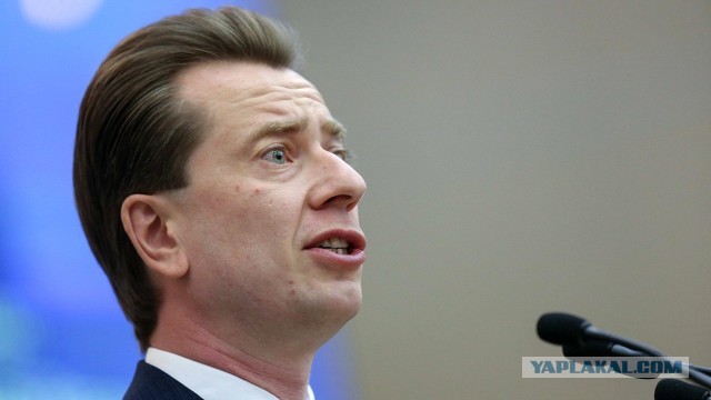 В Нижнем Тагиле на девочку напала стая бездомных собак