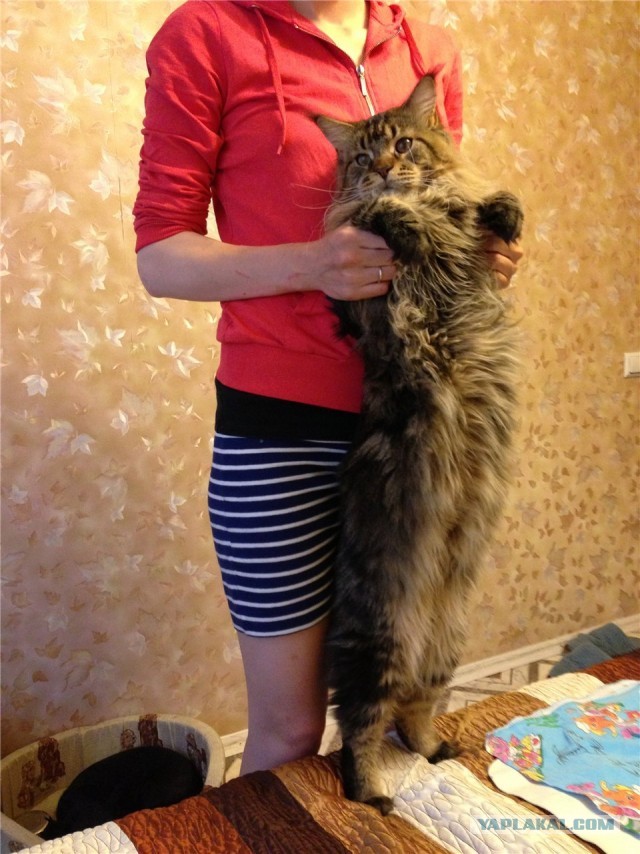После купания и До)