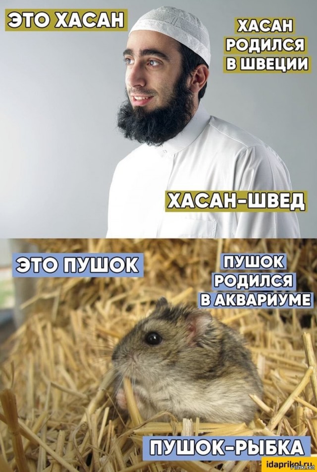 Самая красивая женщина в Германии