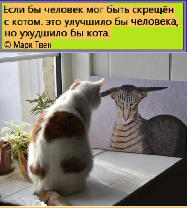 Картинки разные с надписями и без