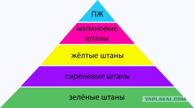 Минздрав разработал методичку по цветовой дифференциации штанов персонала поликлиник
