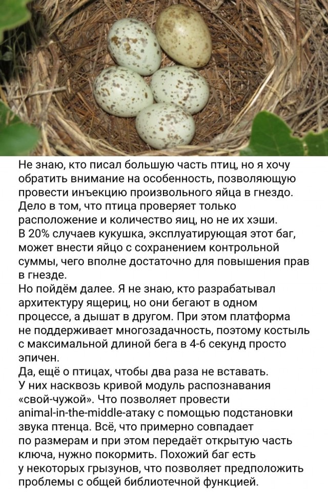 Баги в природе