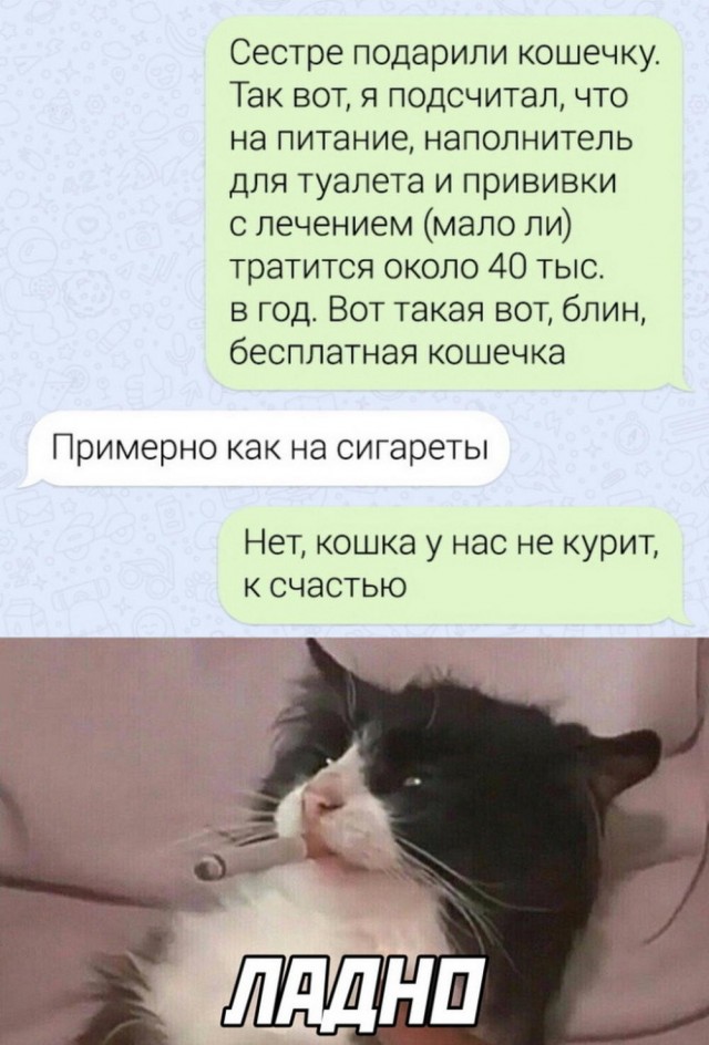 Всего понемногу. От 27.09.24