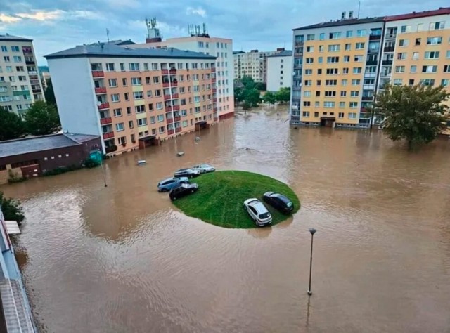 Так себе картинки 11.10.24