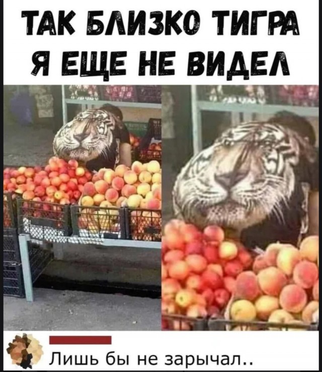 Так себе картинки 12.05.25