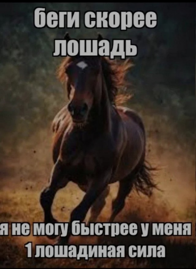 Приятно, очень приятно. Кто-то меня ждёт!