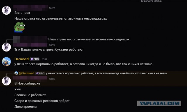 В России хотят запретить звонки в Telegram и WhatsApp*