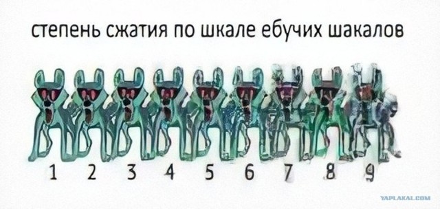 Психически здоровый мужчина