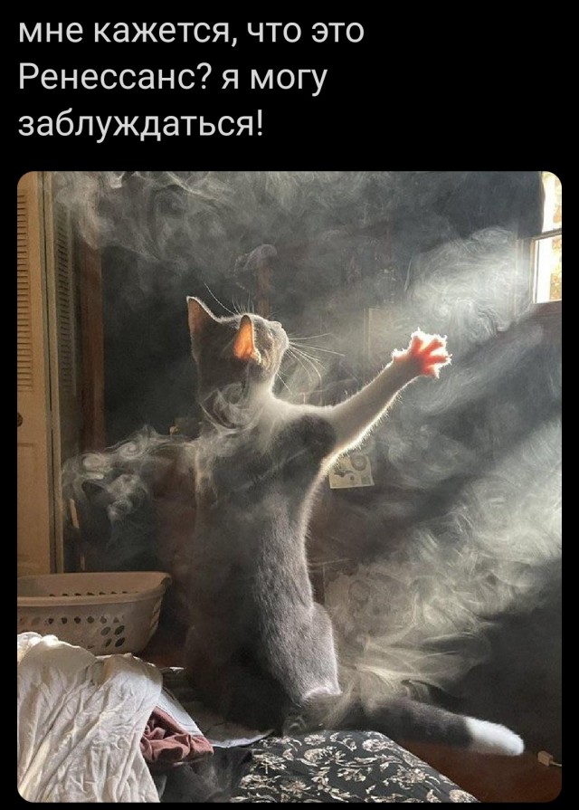 Пусть понедельник не будет столь тяжелым