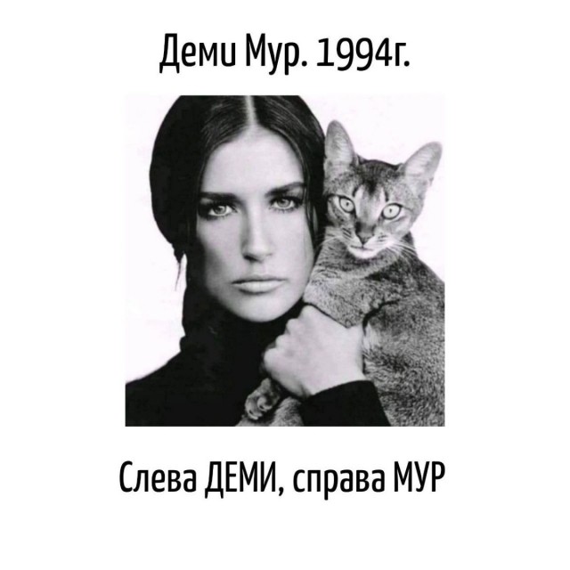 Игра слов в картинках 25.12.25