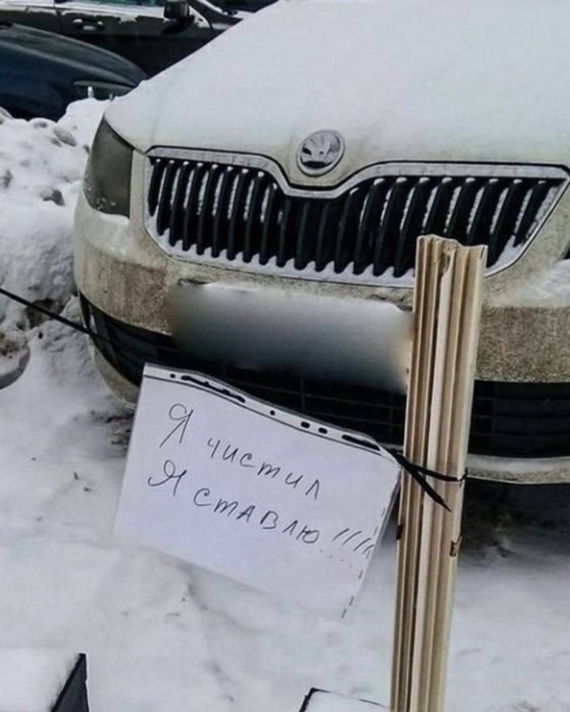 Наше место в заснеженном мире