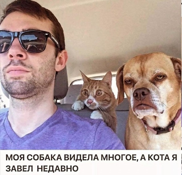 Так себе картинки 02.02.26