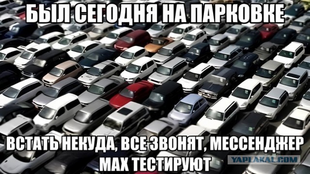 За отсутствие в мессенджере Max начнут штрафовать