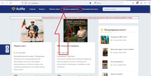Создать аудиокнигу.