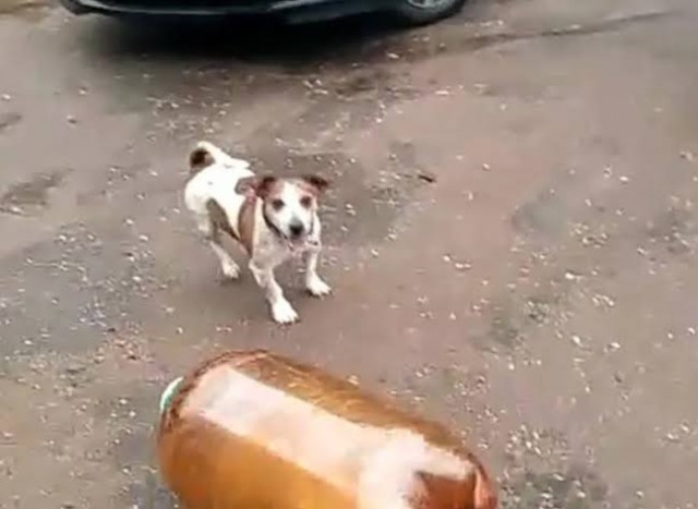 Готовимся к лету