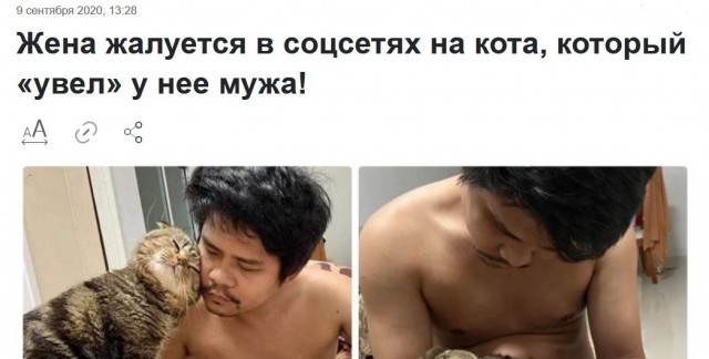 «Кот увёл моего мужа»