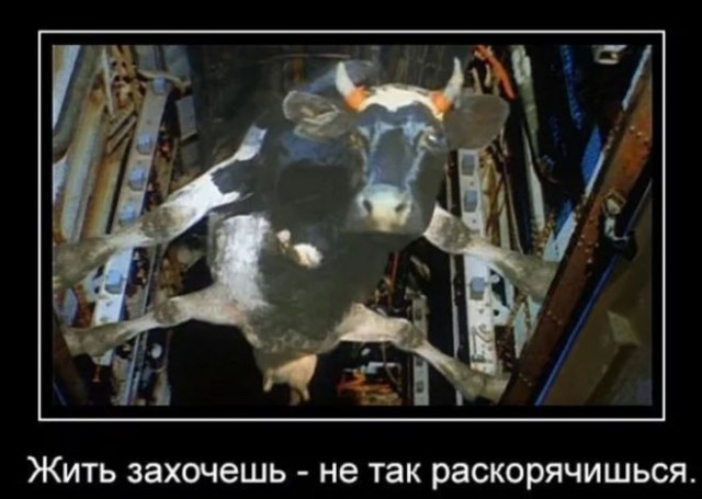 Воинствующие ВВС Индии.